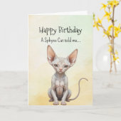 スフィンクス猫の性格 誕生日 楽しい 動物 カード (黄色い花)
