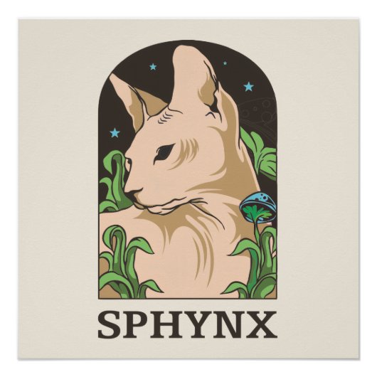 スフィンクス猫の手描き肖像画 ポスター (正面)