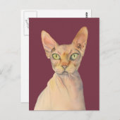 スフィンクス猫の水カラーポートレート ポストカード (正面/裏面)