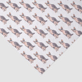 スフィンクス猫イラストレーション 薄葉紙 (詳細)