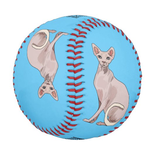 スフィンクス猫イラストレーション 野球ボール (アングル)