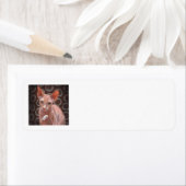 スフィンクス猫ジャック ラベル (インサイチュ)