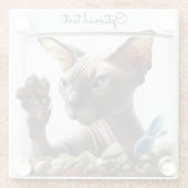 スフィンクス猫スイミング ガラスコースター (裏面)