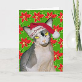 スフィンクス猫忍者サンタクリスマスホリグリーン カード