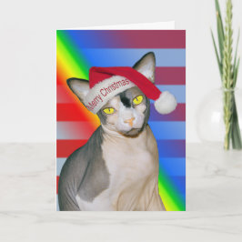 スフィンクス猫忍者サンタクリスマスレインボー カード