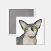スフィンクス猫忍者ホワイトスクエア マグネット (正面/裏面)
