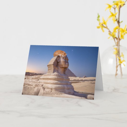 スフィンクス猫昼寝 カード (黄色い花)