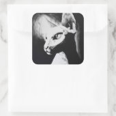 スフィンクス猫白黒コントラストヘアレス子猫アート スクエアシール (バッグ)