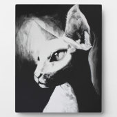 スフィンクス猫白黒コントラスト子猫ポートレートアート フォトプラーク (正面)