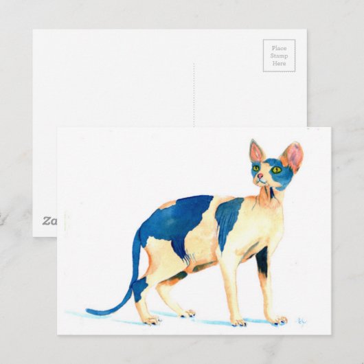 スフィンクス猫5 ポストカード (正面/裏面)