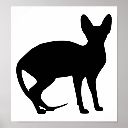スフィンクス猫 ポスター (正面)