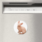 スフィンクス猫 マグネット (インサイチュ (食洗機))