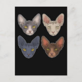 スフィンクス男性へネコ ポストカード (正面)