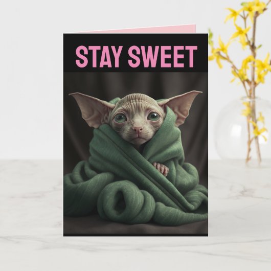 スフィンクス かわいい 髪なし 猫 ビッグ バレンタインデー カード (黄色い花)