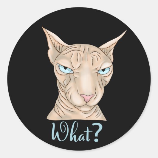 スフィンクス・キャット。何だ？ ラウンドシール (正面)