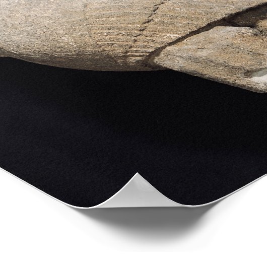 スフィンクス ポスター (角)