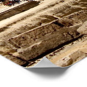 スフィンクス ポスター (角)