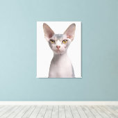 スフィンクス（7か月） キャンバスプリント (インサイチュ (ウッドフロア))