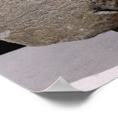 スフィンクス(Vulciより) ポスター (角)