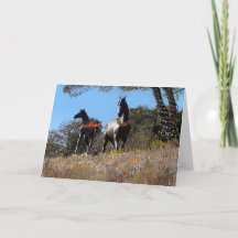 スプライトアンド春ホリデーカード