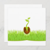 スプラウト！発表 案内状 (正面/裏面)