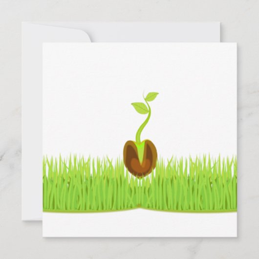 スプラウト！発表 案内状 (正面)