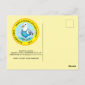 スプラッシュおもしろいシーガルサマープールパーティー ポストカード (裏面)