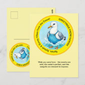 スプラッシュおもしろいシーガル夏ハワイ挨拶 ポストカード (正面/裏面)