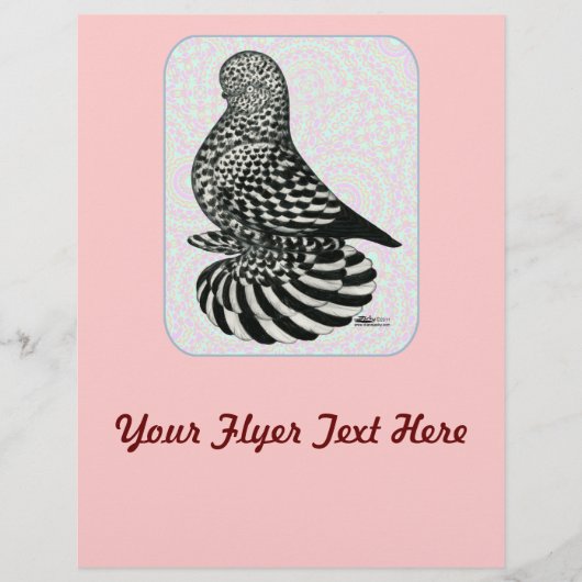 スプラッシュタンブラーのカラー チラシ (正面)