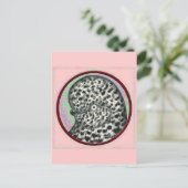 スプラッシュタンブラー鳩サークル ポストカード (スタンド正面)