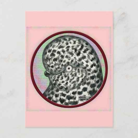 スプラッシュタンブラー鳩サークル ポストカード (正面)