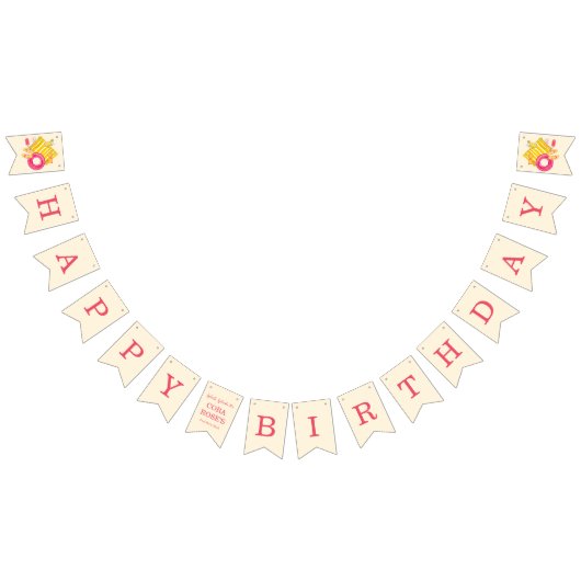 スプラッシュプールパーティーバッシュ誕生日 バンティングフラッグ (全)