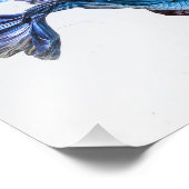 スプラッシュベタフィッシュ フォトプリント            (角)