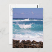 スプラッシュポストカード ポストカード (正面/裏面)