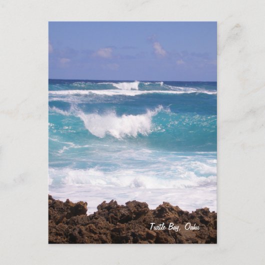 スプラッシュポストカード ポストカード (正面)