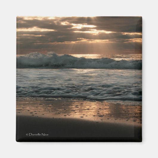 スプラッシュマグネット マグネット (正面)