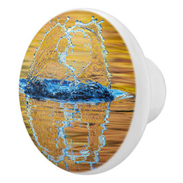 スプラッシュ秋夕べ セラミックノブ