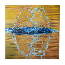 スプラッシュ秋夕べ タイル