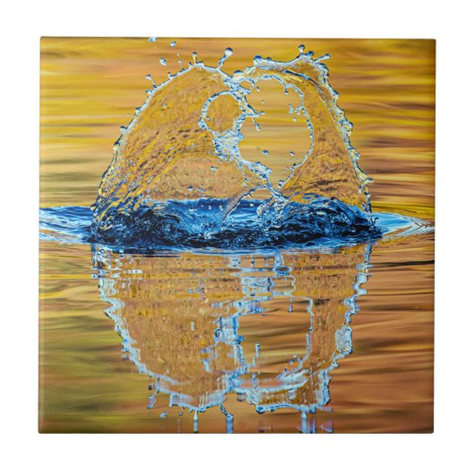 スプラッシュ秋夕べ タイル (正面)