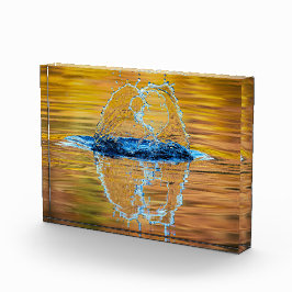 スプラッシュ秋夕べ フォトブロック