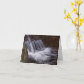 スプラッシュ カード (黄色い花)