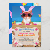 スプラッシュ!キャッおもしろいト招待状 招待状 (正面/裏面)