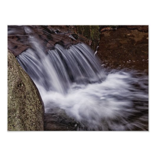 スプラッシュ フォトプリント            (正面)