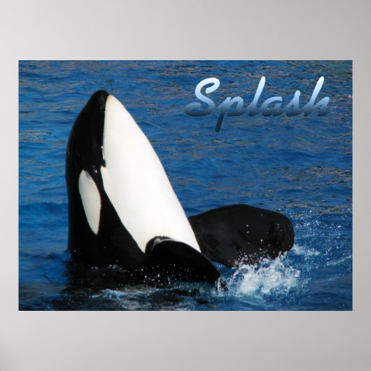 スプラッシュ ポスター (正面)