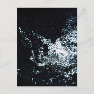 スプラッシュ ポストカード