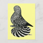 スプラッシュ マフド タンブラー ピジョン ポストカード (正面)