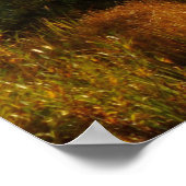 スプラハレイクイン秋 ポスター (角)