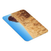 スプラハ近郊の夏の小麦畑（納屋）、東部2 マグネット (右側)