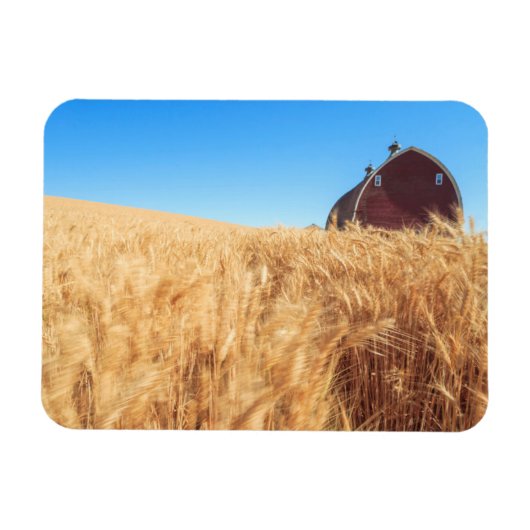 スプラハ近郊の夏の小麦畑（納屋）、東部2 マグネット (横)