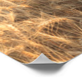 スプラハ近郊の夏の小麦畑Barn, Eastern 1 ポスター (角)